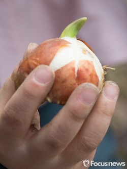 thumbimg