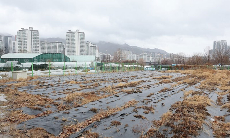 전국 농지 27% 불법 임대·무단 휴...