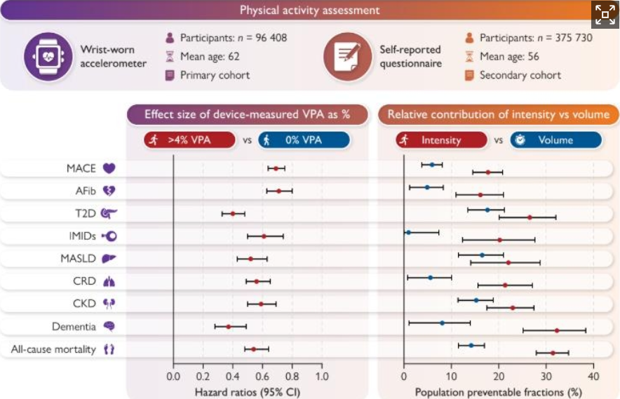 "하루 몇분만 숨찬 운동 해도 치매·...